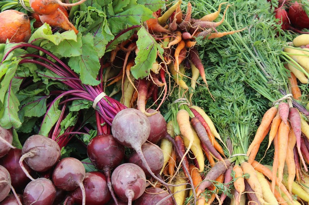 Heirloom carrots, pictured right, come in a rainbow of colors and a variety of shapes and sizes.