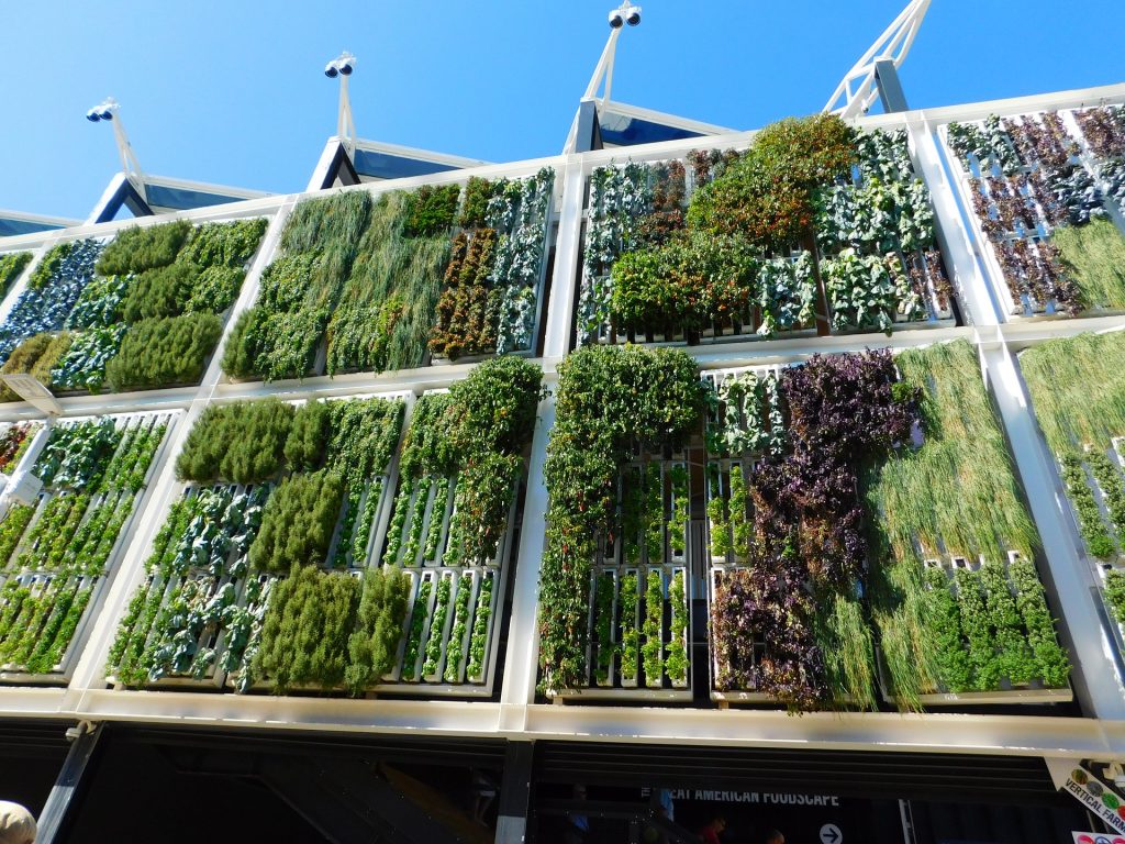 When it comes to maximizing small spaces, think up. There are a variety of ways to design a vertical garden that will optimize your patio space.